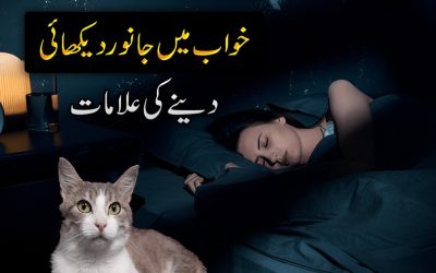 Shaitani Asrat se Nijat ka Taweez