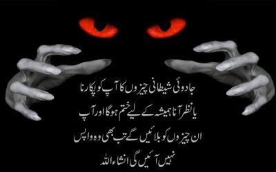 Ab Shetani Cheezein Apko Tung Nhi Kre Gi