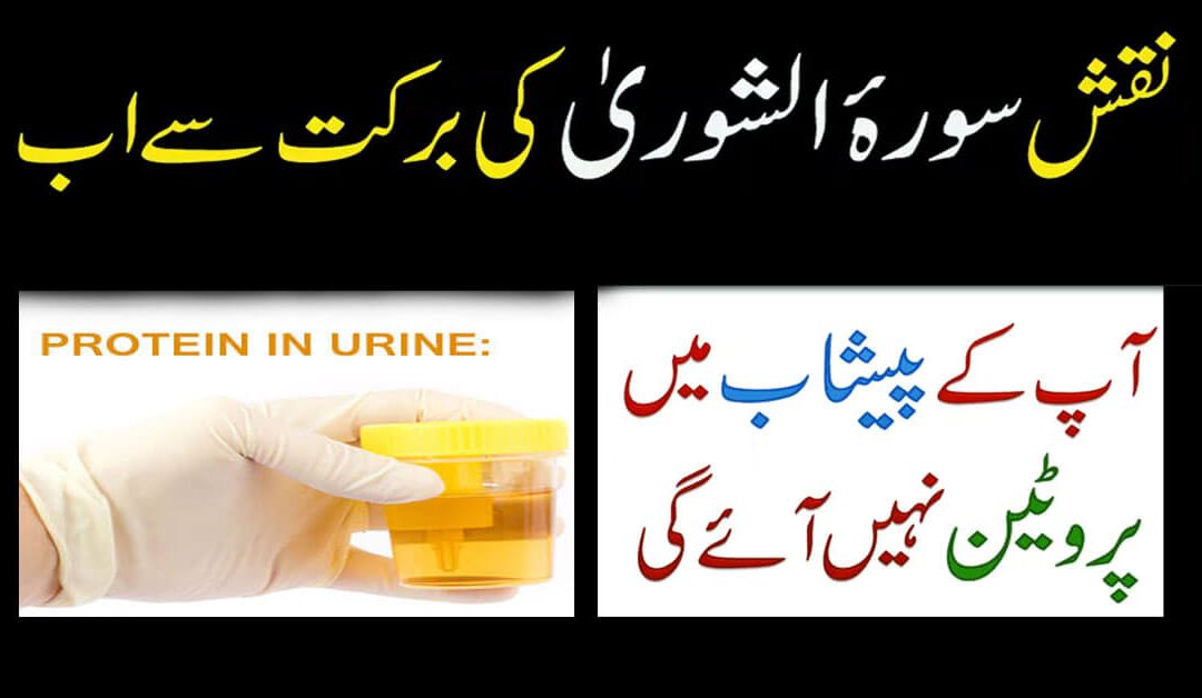 protein in urine