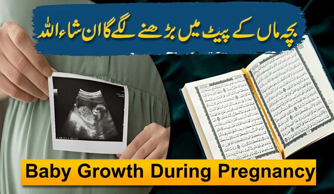 Baby Growth During Pregnancy