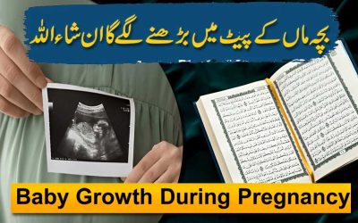 Pregnancy Mein Baby Ki Growth Ka Naqsh