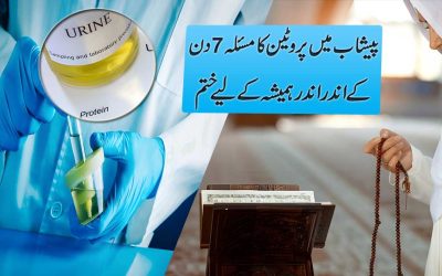 Protein In Urine Treatment