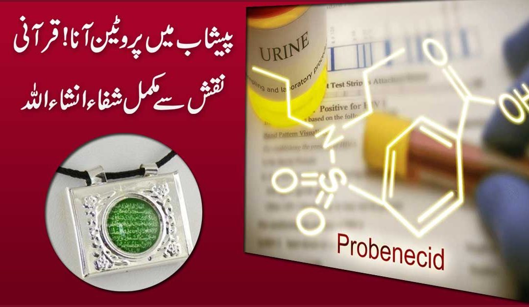 Protein Leak In Urine
